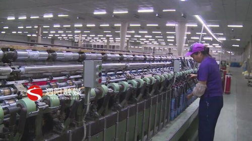 創新驅動，綠色賦能 蘇絲股份新產品與碳酸鈣技術研發喜獲殊榮