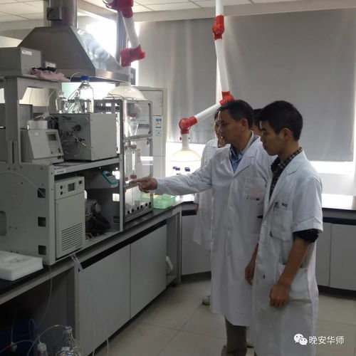 從實驗室到市場 華師團隊碳酸鈣技術研發斬獲技術發明二等獎，引領產業稅收破億