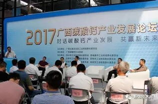 廣西碳酸鈣產業發展論壇在南寧舉行 技術研發引領綠色轉型與高值化應用